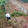 Tertimbun Longsor, Akses Jalan Palabuhanratu Sukabumi Terputus, lima Hektar Sawah Gagal Panen