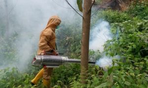 Intip Upaya Tim Kesehatan Presiden, Cegah Penularan Malaria di Kawasan Kemah Presiden di IKN