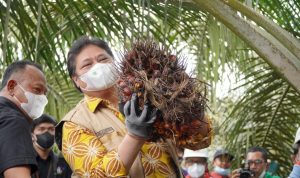 Menko Airlangga Hartarto ketika mengunjungi perkebunan sawit sebagai bahan baku energy terbarukan