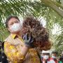 Menko Airlangga Hartarto ketika mengunjungi perkebunan sawit sebagai bahan baku energy terbarukan
