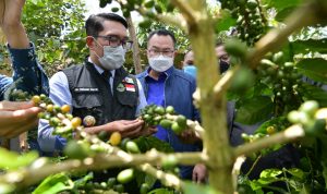 Ridwan Kamil mengataan, pihaknya  saat ini tengah menjajaki kerjasama untuk mendirikan kafe-kafe di luar negeri khususnya negera Eropa.