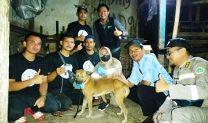 5 ekor anjing jenis pemburu di Kecamatan Warungkondang, Cianjur dipasang microchip dan GPS. (Cianjurekspres)