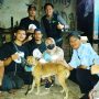 5 ekor anjing jenis pemburu di Kecamatan Warungkondang, Cianjur dipasang microchip dan GPS. (Cianjurekspres)