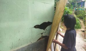 Bertahun-tahun Hidup di Rumah Tak Layak Huni, Iman: Seperti Anak Tiri Bertahun-tahun Hidup di Rumah Tak Layak Huni, Iman: Seperti Anak Tiri