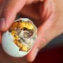 Balut, salah satu makanan teraneh (pinterest:Kitch)
