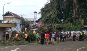 Hendak Dipasang Papan Peringatan Bahaya, Pohon di Rancakalong Tumbang Pohon tumbang tersebut terjadi di Jalan Raya Rancakalong-Lebak Jati, tepatnya di area Terminal 08 Desa Rancakalong, Kecamatan Rancakalong, Kabupaten Sumedang. (Jabar Ekspres)