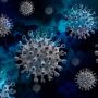 Ilmuwan Beberkan Awal Mula Virus Corona, Kebocoran Laboratorium Masih Diteliti