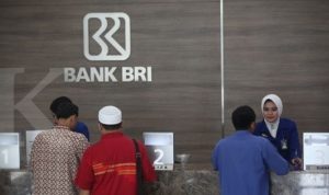 limit transfer bri