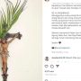 Unggahan Soraya Haque yang membuat netizen Heboh dan mempergunjingkannya. (tangkapan layar Instagram @sorayahaque)