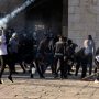 Bentrok warga Palestina dan Polisi Israel di Kompleks Masjid Al-Aqsa, 152 warga Palestina terluka (gambar:Reuters)