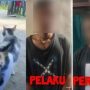 Kejam, Ledakkan Petasan di Anus Kucing Hingga Alami Luka Bakar, Dua Pria Ditahan Polisi Kedua pelaku yang menyiksa binatang dengan ledakkan petasan kedalam anus kucing, telah ditangkap Polisi. (ist)