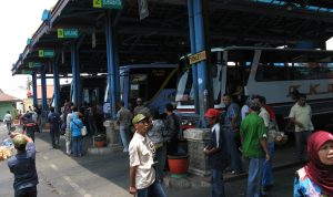 Pemerintah Menyiapkan 350 Unit Bus Gratis untuk Pemudik, Begini Cara Daftarnya
