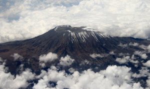 Ilustrasi Gunung Kilimanjaro yang dijadikan Google Doodle di Hari Bumi (gambar: Wikipedia)