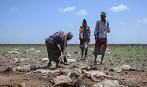 Oxfam International: 28 Juta Orang di Afrika Timur Terancam Kelaparan Ekstrim di Tengah Krisis Ukraina-Rusia