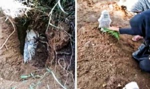 Heboh, Temuan Jasad Utuh Didalam Tanah Selama 20 Tahun Setelah Tergerus Makam Ambrol