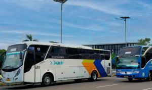 Syarat Mudik Lebaran 2022 Pakai Bus Damri, Simak Infonya Disini