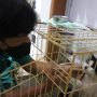 Petshop di Arcamanik Optimalkan Perawatan Hewan Peliharaan Para Pemudik Lebaran