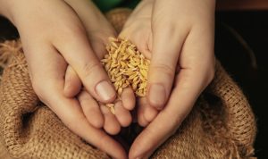 ilustrasi zakat fitrah (freepik)