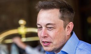Elon Musk Akan Izinkan Lagi Donald Trump Main Twitter