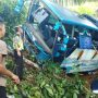 Kondisi bus yang mengalami kerusakan parah setelah terjun masuk kedalam jurang sedalam 50 meter di Bengkunat, Selasa (17/5). (dok polsek bengkunat)