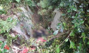 Pemulung Temukan Mayat dengan Bekas Gigitan Hewan di Sebrang Istana Bogor Mayat dengan luka bekas gigitan hewan ditemukan selokan dekat tempat sampah di sebrang istana Bogor. (ist)
