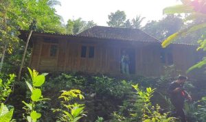 Kisah Sebenarnya Rumah Syuting Film KKN Desa Penari, Rumahnya Di Jual Rp60 Juta? rumah KKN desa penari