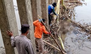Petugas sedang berupaya mengevakuasi tubuh Aira, bocah tenggelam di Sumedang yang di temukan di Sungai Cimanuk Kabupaten Indramayu. (ist)
