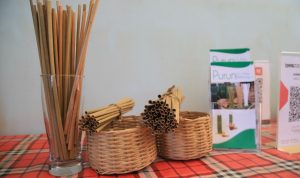 Klaster Usaha Binaan BRI Purun Eco-Straw Mendapat Apresiasi di Sidang Umum PBB Salah satu wujud keberhasilan BRI dibuktikan melalui usaha binaan BRI yakni Klaster Purun Eco-Straw, yaitu usaha kerajinan rumahan yang mengedepankan konsep ramah lingkungan.