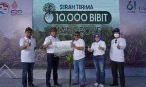 Tanam Pohon Mangrove