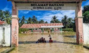 Banjir terjang Mamuju Tengah, 110 Rumah Terendam Air Banjir terjang Mamuju Tengah, 110 Rumah Terendam Air