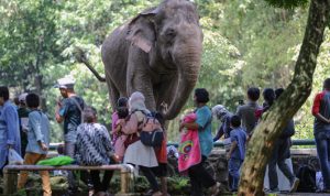 Taman Margasatwa Ragunan dipadati pengunjung pada libur Lebaran 2022. (Hendra Eka/Jawa Pos)