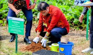 Menko Airlangga Hartarto ketika proyek pengembangan peremajaan pohon di kawasan industri di provinsi Riau belum lama ini.