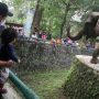 Pengunjung sedang melihat gajah di Taman Margasatwa Ragunan. ((Dery Ridwansah/ JawaPos.com) Pengunjung saat memadati temat rekreasi Taman Margasatwa Ragunan, Jakarta, Minggu (26/12/2021). Taman Margasatwa Ragunan memberlakukan pembatasan pengunjung sebanyak 50 persen atau setara dengan 30 ribu orang pada liburan Natal 2021 (Dery Ridwansah/ JawaPos.com) Pengunjung saat memadati temat rekreasi Taman Margasatwa Ragunan, Jakarta, Minggu (26/12/2021). Taman Margasatwa Ragunan memberlakukan pembatasan pengunjung sebanyak 50 persen atau setara dengan 30 ribu orang pada liburan Natal 2021 (Dery Ridwansah/ JawaPos.com) Pengunjung saat memadati temat rekreasi Taman Margasatwa Ragunan, Jakarta, Minggu (26/12/2021). Taman Margasatwa Ragunan memberlakukan pembatasan pengunjung sebanyak 50 persen atau setara dengan 30 ribu orang pada liburan Natal 2021 (Dery Ridwansah/ JawaPos.com) Pengunjung saat memadati temat rekreasi Taman Margasatwa Ragunan, Jakarta, Minggu (26/12/2021). Taman Margasatwa Ragunan memberlakukan pembatasan pengunjung sebanyak 50 persen atau setara dengan 30 ribu orang pada liburan Natal 2021 (Dery Ridwansah/ JawaPos.com) Pengunjung saat memadati temat rekreasi Taman Margasatwa Ragunan, Jakarta, Minggu (26/12/2021). Taman Margasatwa Ragunan memberlakukan pembatasan pengunjung sebanyak 50 persen atau setara dengan 30 ribu orang pada liburan Natal 2021 (Dery Ridwansah/ JawaPos.com)
