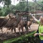 Sebanyak 41.300 Wisatawan Kunjungi Kebun Binatang Bandung Selama Libur Lebaran