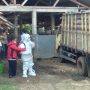 Tim kesehatan hewan dikerahkan untuk mensterilkan kandang sapi yang hewannya terjangkit Penyakit Mulut dan Kuku (PMK). (Yanuar/Jabar Ekspres)