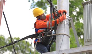 ILUSTRASI: Transformasi layanan melalui PLN Mobile dan Yantek Optimization tidak hanya meningkatkan reputasi perusahaan, tetapi juga mendorong peningkatan kinerja PLN.