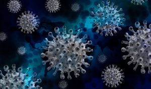 ILUSTRASI: Virus Hendra. (Pixabay)
