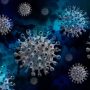 ILUSTRASI: Virus Hendra. (Pixabay)