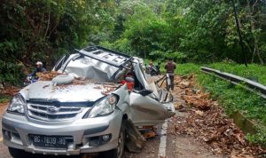 Sebuah Mobil Daihatsu Xenia yang mengalami ringsek usai tertimpa pohon tumbang hingga mengakibatkan satu orang penumpangnya tewas di tempat kejadian. (ist)
