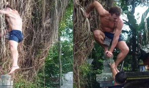 Aksi nekad warga asing yang panjat pohon suci Dibali. (ist)