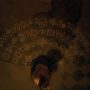 lafaz Allah dalam the umbrella academy 3