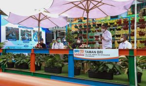 Salah satu implementasi prinsip ESG yang diterapkan pada nasabah kredit BRI (ist)