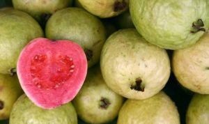 8 Manfaat Jambu Biji untuk Kesehatan Tubuh