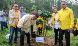 Ketua Umum Partai Golkar Ailrlangga Hartarto bersama jajaran petinggi partai melakukan penanaman pohon di lahan IKN.
