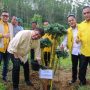 Airlangga Hartarto Usulkan Upacara Kemerdekaan 2024 Dilaksanakan di IKN Ketua Umum Partai Golkar Ailrlangga Hartarto bersama jajaran petinggi partai melakukan penanaman pohon di lahan IKN.