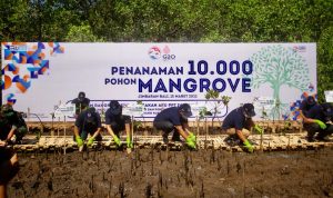 Hari Lingkungan Hidup Internasional, BRI Perkuat Komitmen Atasi Perubahan Iklim Hari Lingkungan Hidup Internasional, BRI Perkuat Komitmen Atasi Perubahan Iklim