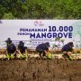 Hari Lingkungan Hidup Internasional, BRI Perkuat Komitmen Atasi Perubahan Iklim