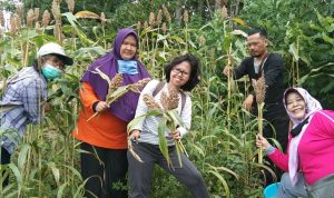 Solidaritas Sejahterakan Masyarakat, Kampung Tangguh Pasirlayung Bangun Kemandirian Pangan Berbasis Kewilayahan