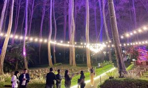 3 Tempat Wisata di Bandung Ini Dijamin Bikin Betah, Tertarik Mengunjunginya?