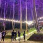 3 Tempat Wisata di Bandung Ini Dijamin Bikin Betah, Tertarik Mengunjunginya?